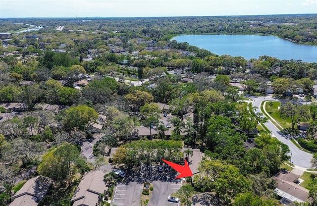 4031 BLUFF OAK COURT, Palm Harbor, FL 34684