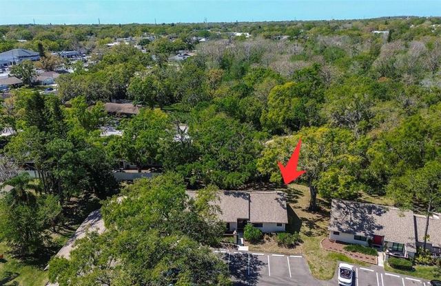 4031 BLUFF OAK COURT, Palm Harbor, FL 34684