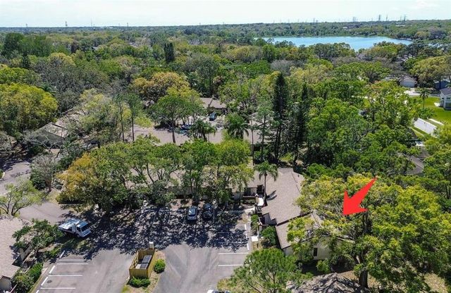 4031 BLUFF OAK COURT, Palm Harbor, FL 34684