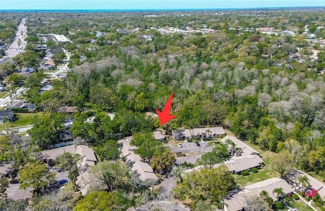 4031 BLUFF OAK COURT, Palm Harbor, FL 34684