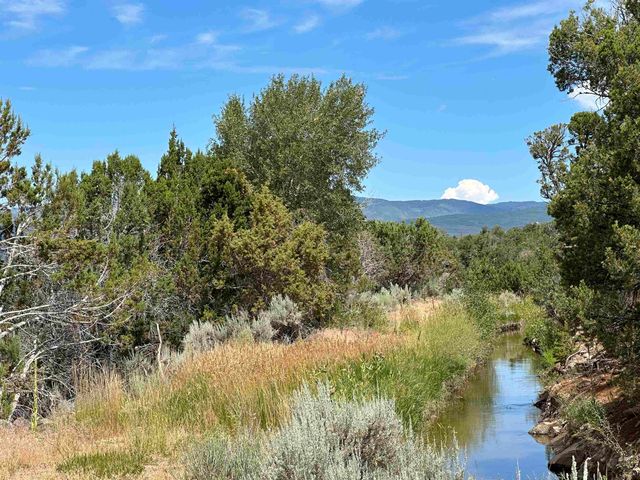 29501 P 50 Road, Hotchkiss, CO 81419