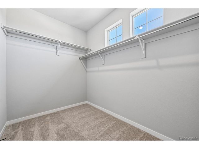 13795 Daffodil Way, Parker, CO 80134