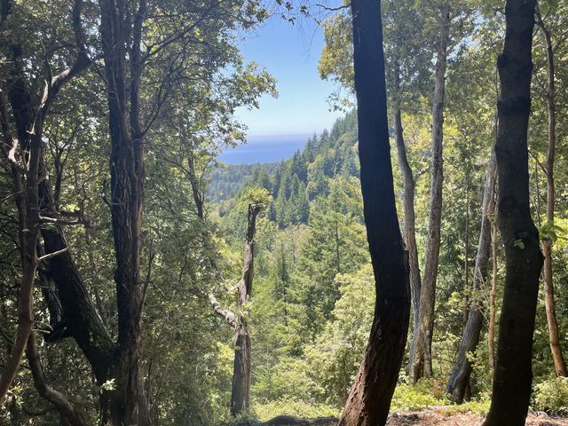 72 Elkhorn Court, Shelter Cove, CA 95589