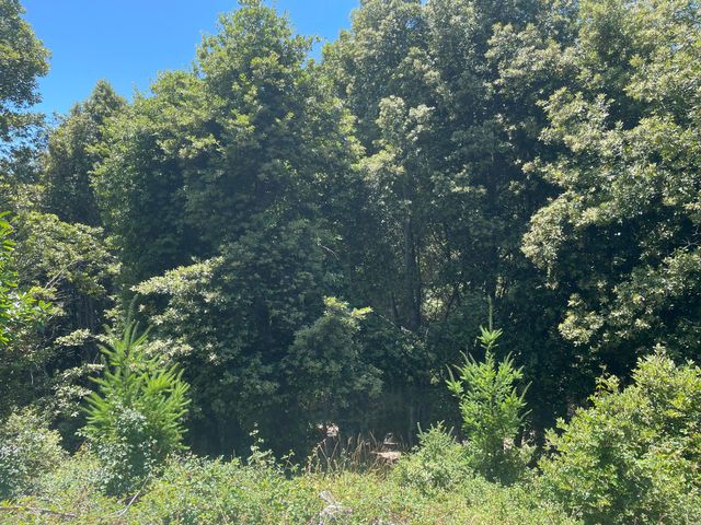 72 Elkhorn Court, Shelter Cove, CA 95589