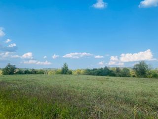 440 Loveless Road, Science Hill, KY 42553
