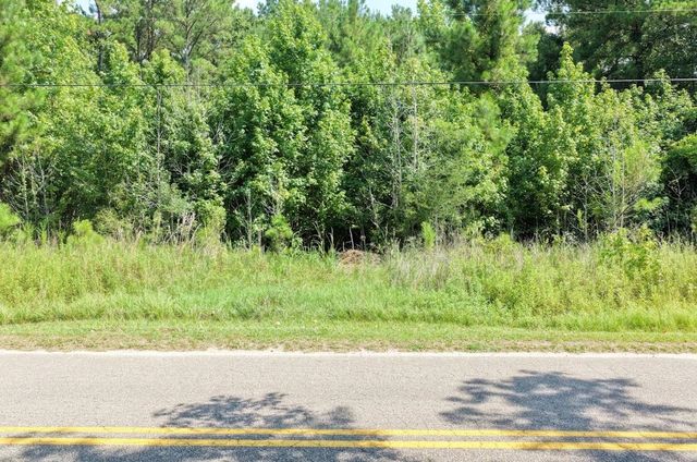 TBD Right Hand Ct, Georgetown, SC 29440