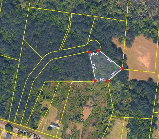 TBD Right Hand Ct, Georgetown, SC 29440