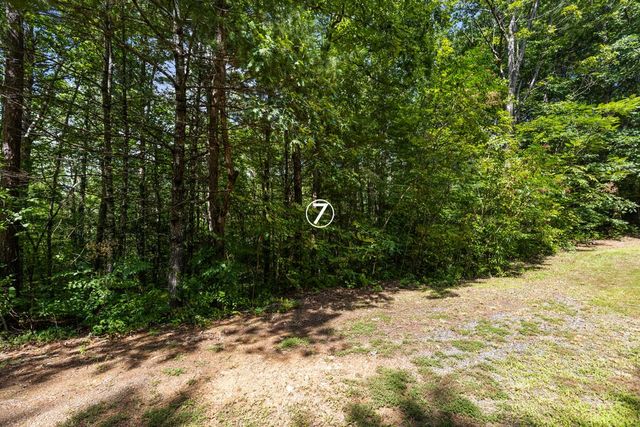 7 Timber Lane Court, Turtletown, TN 37391