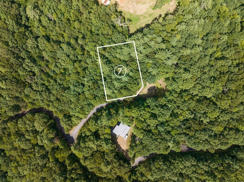 7 Timber Lane Court, Turtletown, TN 37391