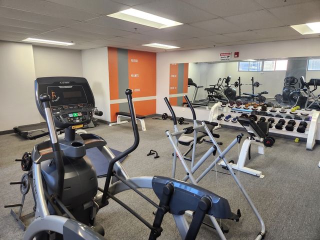 17 Federal 506F, Worcester, MA 01608