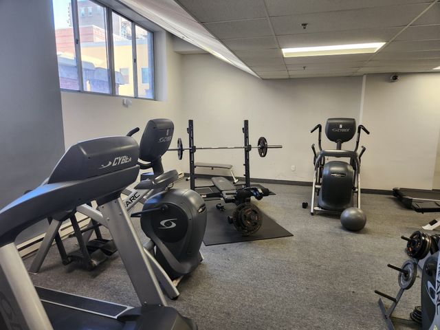 17 Federal 506F, Worcester, MA 01608