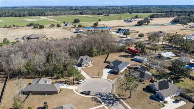 10140 Desiree S Court, Theodore, AL 36582