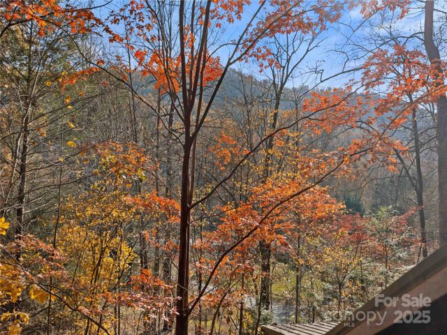 65 Charleston Harbor Drive, Saluda, NC 28773