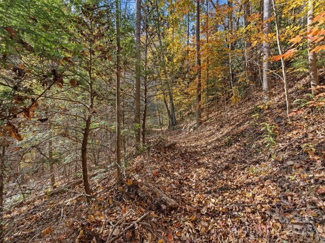 65 Charleston Harbor Drive, Saluda, NC 28773