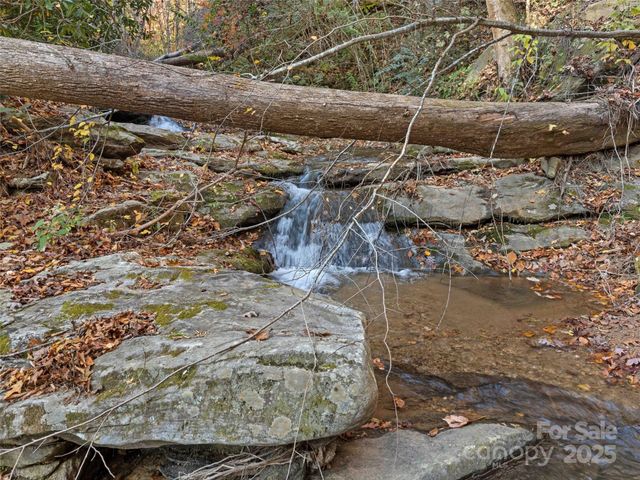 65 Charleston Harbor Drive, Saluda, NC 28773