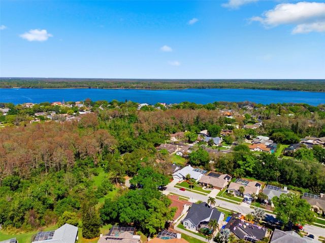 2936 SPRING OAK COURT, Palm Harbor, FL 34684