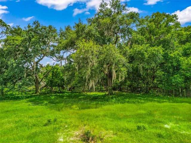 0000 CR 738 UNASSIGNED, Webster, FL 33597