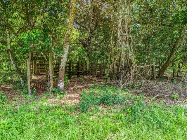 0000 CR 738 UNASSIGNED, Webster, FL 33597