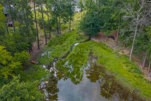 408 Lookover Pointe Road, Chapin, SC 29036