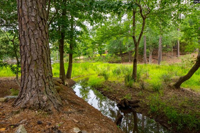 408 Lookover Pointe Road, Chapin, SC 29036