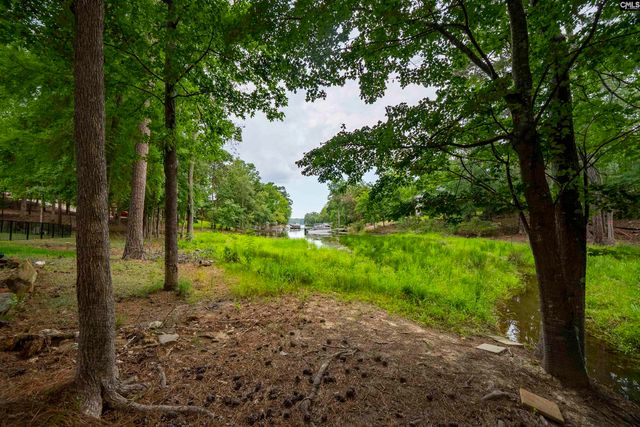 408 Lookover Pointe Road, Chapin, SC 29036