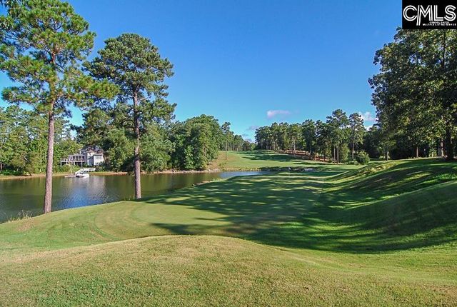 408 Lookover Pointe Road, Chapin, SC 29036