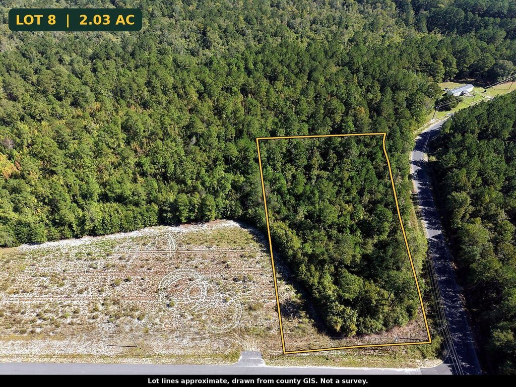 TBD Bellaire Dr., Nichols, SC 29581 — photo 3