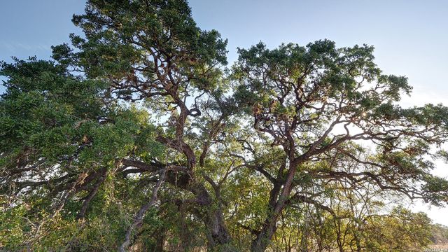661 Borchers Blvd, New Braunfels, TX 78132