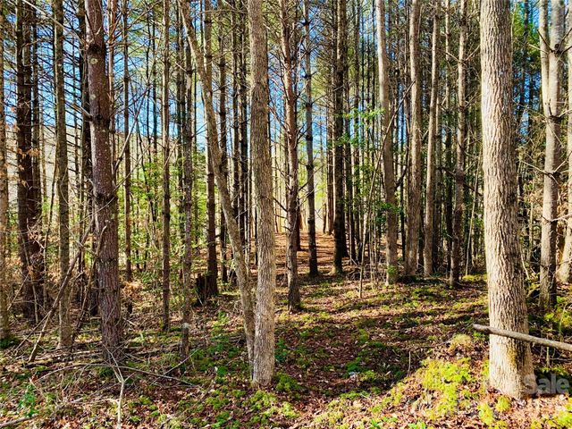 6129 Painted Ridge Trail Lot 739, Lenoir, NC 28645