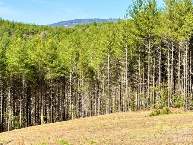 6129 Painted Ridge Trail Lot 739, Lenoir, NC 28645