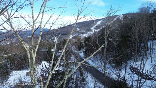 0 Club Road, Windham, NY 12496