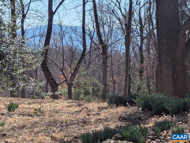 2005 UPPER STONY RUN, Greenwood, VA 22943