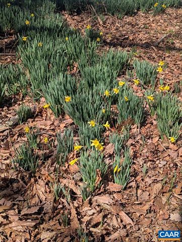 2005 UPPER STONY RUN, Greenwood, VA 22943