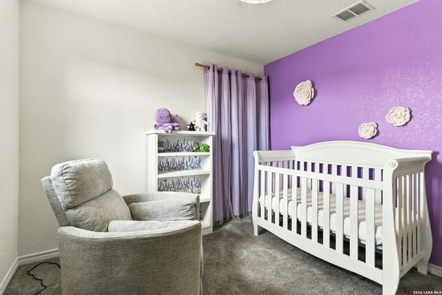 5323 Spanish Bluebells, San Antonio, TX 78261