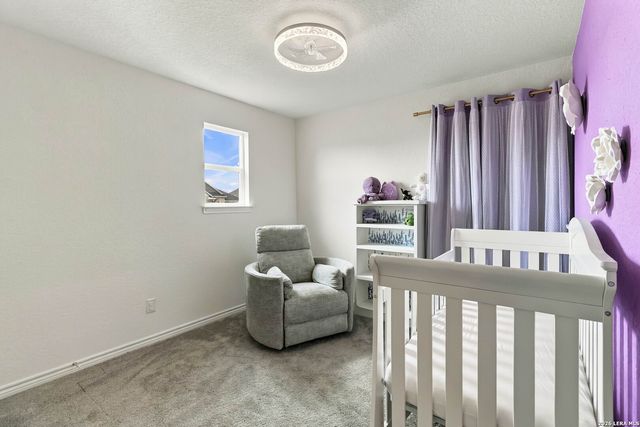 5323 Spanish Bluebells, San Antonio, TX 78261
