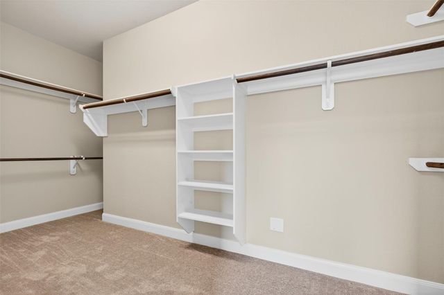18202 Wedgewood Bluff Court, Spring, TX 77379