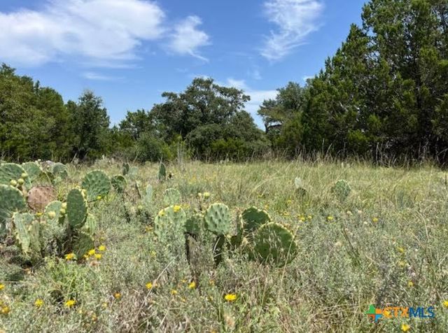 8629 FM 1690, Lampasas, TX 76550