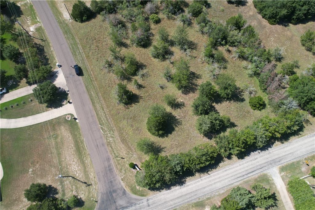 9373 Green Branch Loop, Bryan, TX 77808 — photo 2