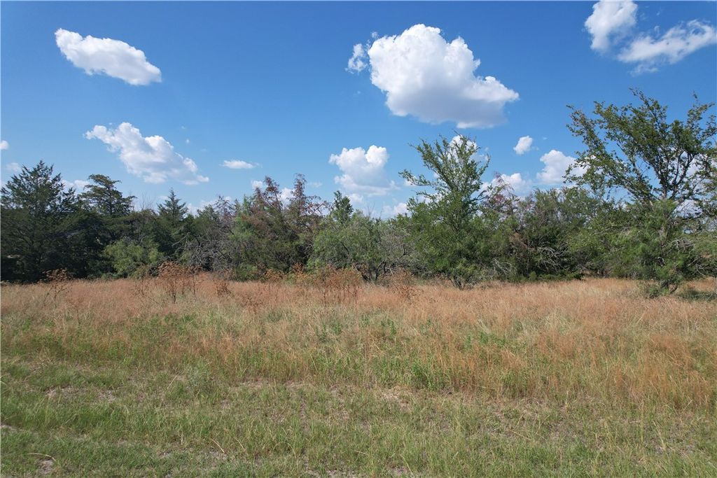 9373 Green Branch Loop, Bryan, TX 77808 — photo 3