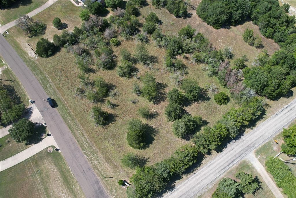 9373 Green Branch Loop, Bryan, TX 77808 — photo 4