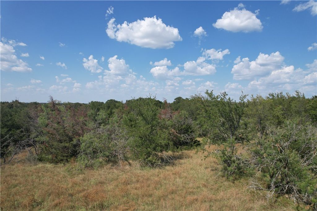 9373 Green Branch Loop, Bryan, TX 77808 — photo 5