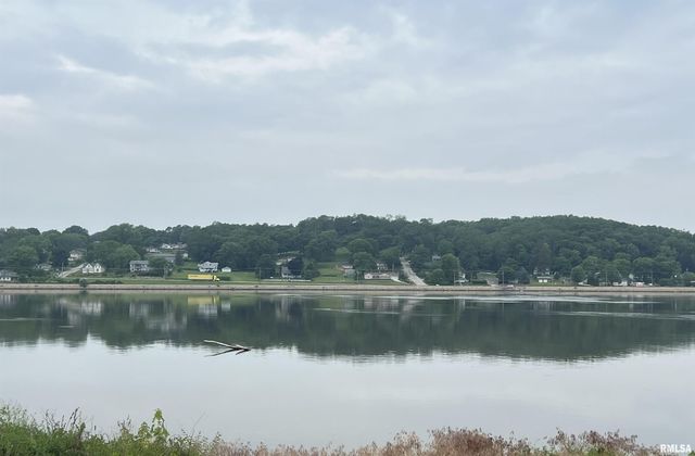 215 & 219 N MAIN Street, Port Byron, IL 61275