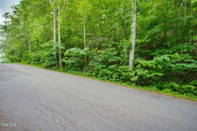 Lot 41 Ridgeheights Drive, Johnson City, TN 37615