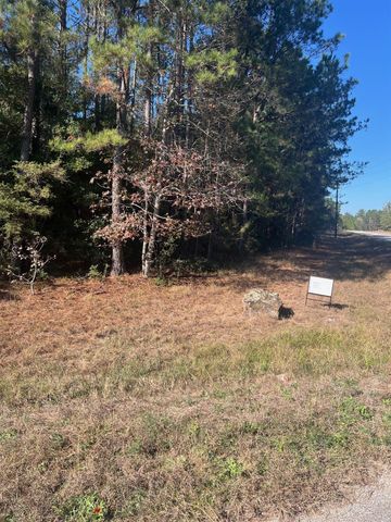 21240 Big Buck Drive, Cleveland, TX 77328