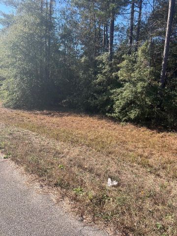 21240 Big Buck Drive, Cleveland, TX 77328