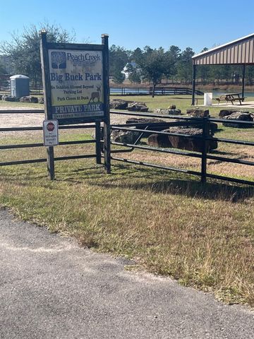 21240 Big Buck Drive, Cleveland, TX 77328