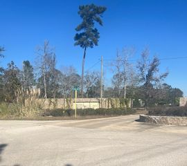 21240 Big Buck Drive, Cleveland, TX 77328