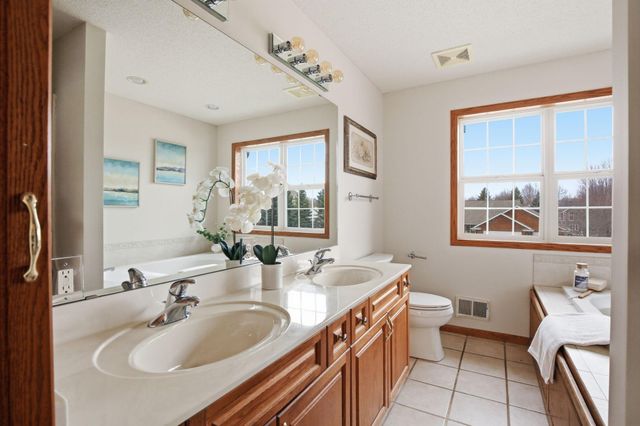 16267 Griffon Trail, Lakeville, MN 55044