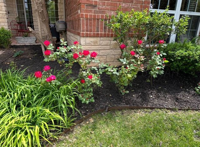 4921 CAPE COLONY Drive, Amarillo, TX 79119