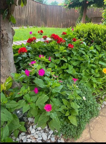 4921 CAPE COLONY Drive, Amarillo, TX 79119